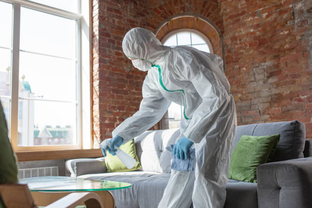 Trusted Vernon Center, NJ Mold Removal Experts