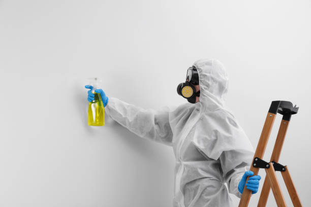 Best Commercial Mold Inspection in Vernon Center, NJ